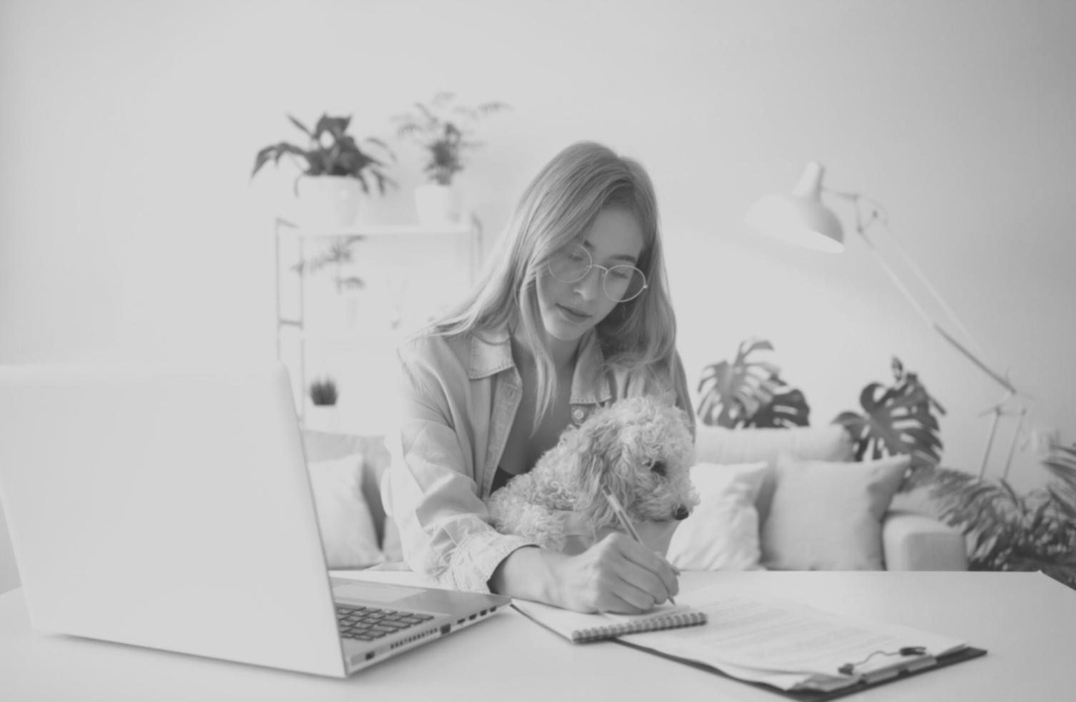 aelitharent Finanzbildung Büroumgebung in Harrislee